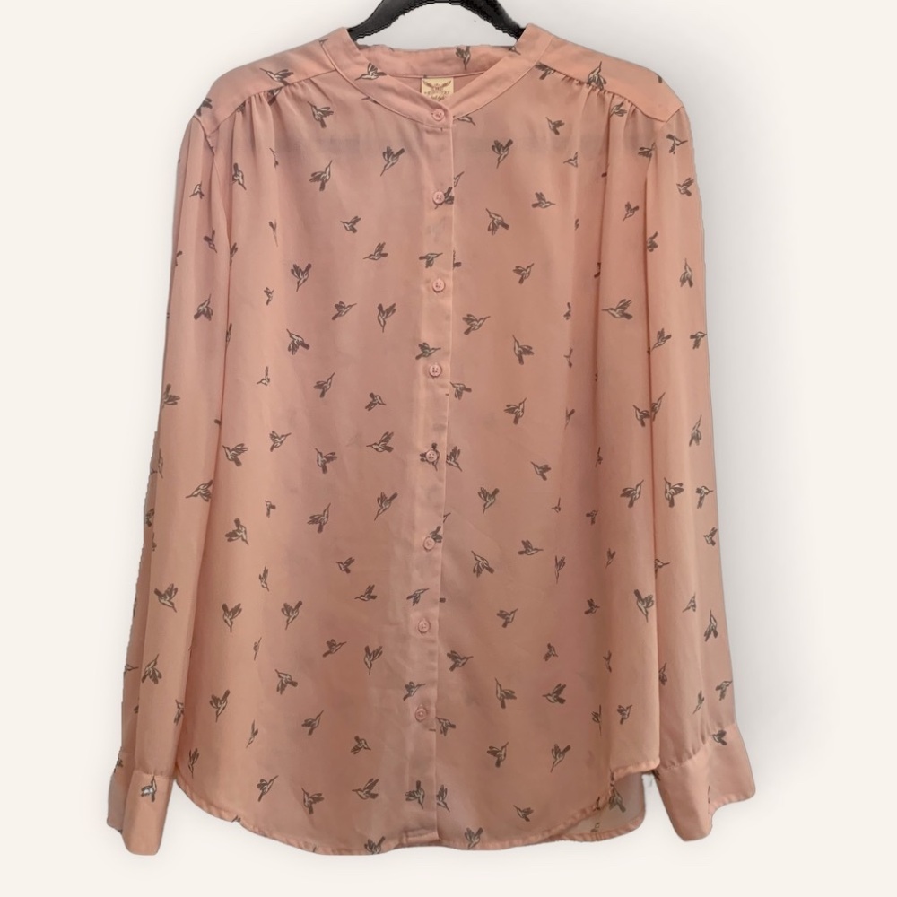 FADED GLORY | Petal Pink Sheer Long Sleeve Blouse with Hummingbirds | Size XL